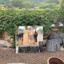 포포나무 민박 | 보성숙소 강현재 한옥민박