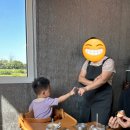 큰담밭 | 제주도 독채 풀빌라 스테이 브런치 카페 큰담밭 숙소 추천