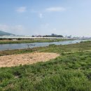 대조1리 이미지