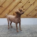 흥해목욕탕 이미지