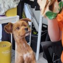 버거킹 광주터미널점 이미지