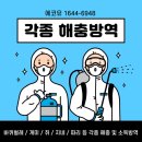 박정규정형외과의원 | [김해병원방역전문업체] 김해 내외동 허리물리치료 잘하는곳 박정규정형외과 월관리 방역후기