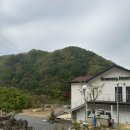 그리너리문팬션 이미지