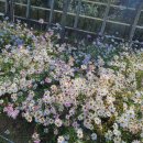 우산천변길 이미지