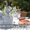 봄날;씨