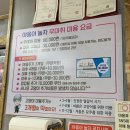 여주-0677 | [대구 고양이 무마취 미용 추천!!] 야옹아 놀자