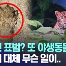 졍쓰 고향에선 도대체 무슨 일이 일어나고 있는 걸까요? 이미지