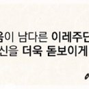 가을주단