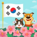 오션시티동물병원 네이버블로그