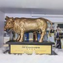 천하장사숯불갈비 이미지