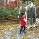 한꽃유치원 이미지