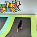 점핑스파이더 운정 이미지