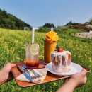 가평 양떼목장 이미지