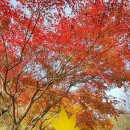 황룡택시 이미지