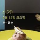 해빙데이 이미지