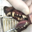 아마존 동물병원 이미지