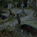 클럽 몬스터 (Club Monster) 이미지