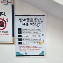 자담치킨 부산광안점 | 자담치킨 부산광안점 :) 부산야장맛집 애견동반가능 치킨맛집 야장맛집