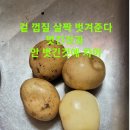 2024년"햇감자 수확 5kg23.000(배송비 없음) 이미지