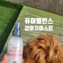 팻 밸런스 (Pet Balance) | 퓨어프렌즈 강아지 털 정전기방지 엉킴방지 강아지 미스트 후각자극없는 털영양보습제