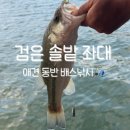 검은솔밭낚시터 | 예당지 검은솔밭좌대 에서 NEW 로드 입문 | 가보자 에볼젼‼️