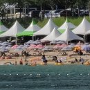 옥이민박 이미지