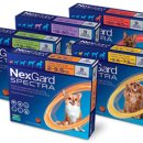 마음편한 동물메디컬센터 이미지