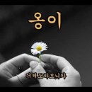 옹이-조광조 이미지