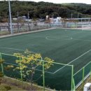 월드컵빌리지 축구장 인조 이미지