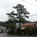 흑석산흑염소농장 이미지