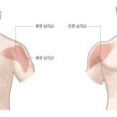반반피트니스 이미지