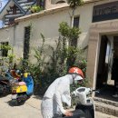 푸른가든민박 | 베트남 살이 6개월차 우리가 이룬 것들, 푸꾸이섬에서 청춘여행 392827번