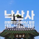 채널하나여행사