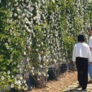 거제시농업개발원 이미지