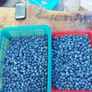 성옥농장 이미지