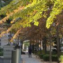 모현명일아파트 | [익산케라폭시 전주 군산] 모현 e편한세상 인테리어 3바닥 케라폭시 112번 시공 후기