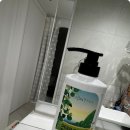 청소년농구 | 사춘기 비듬샴푸 청소년 아들의 정수리 냄새 해결한 후기