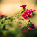 밝은마음 이미지