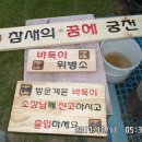 꿈에궁전 이미지