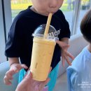 카페덕남 | 청도 덕남 카페, 애견동반 대형카페 빙수 맛집 솔직후기