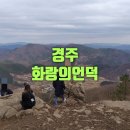 ㈜오케이그린청소년수련원 | [경북/경주] 화랑의언덕 jtbc 캠핑클럽 촬영지 겨울은 아쉽다?