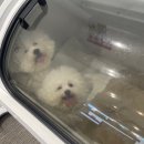 이을동물병원 이미지