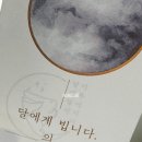 안동명과 이미지