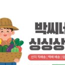 박씨네과일 이미지