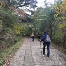 제34코스 부산 죽림굴 성지순례 길 이미지