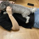 박태건 | 다시 시작해볼까(1)