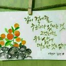 한우원 Daum카페
