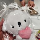 바이올독 푸드 네이버블로그