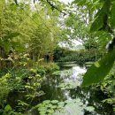 모네정원 이미지