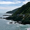 들꽃약국 이미지